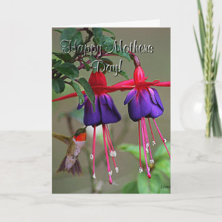Fuchsia- och Hummingbirdmors dag Kort