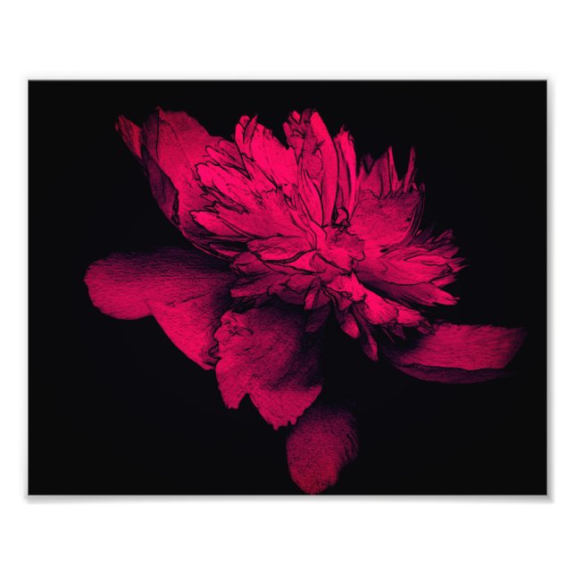 Fuchsia Peony Flower Abstrakt Blommigt Art. 8x10 Fototryck (Framsidan)