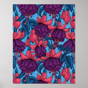 Fuchsia Poster