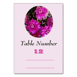 Fuchsia Rosa Blommor Blommig Bordsnummer