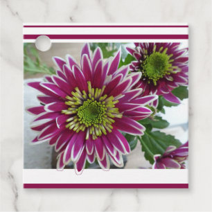 Fuchsia Rosa Chrysanthemums Collage Favor Taggs Gåvor Etiketter