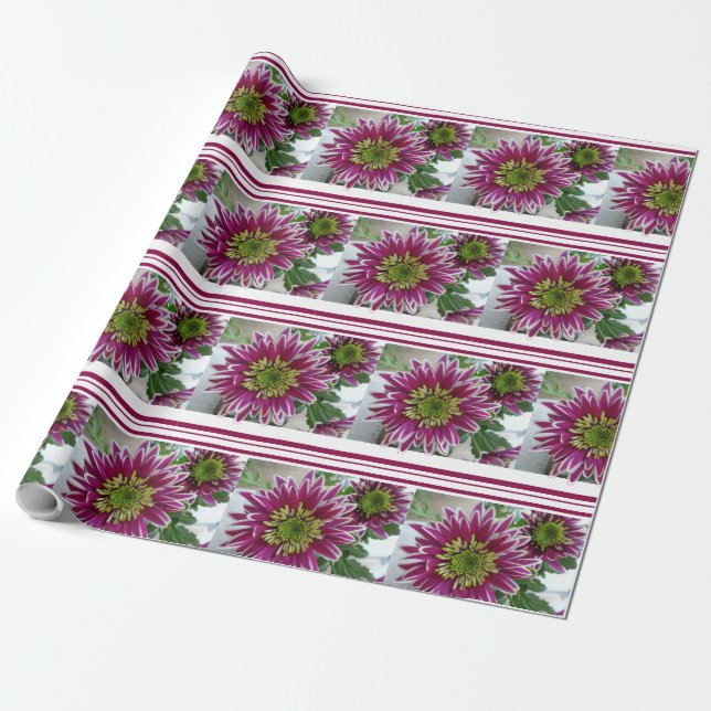 Fuchsia Rosa Chrysanthemums Collage Wrapping Pappe Presentpapper (Utrullad)