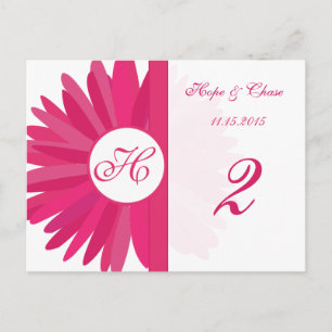 Fuchsia Rosa Gerber Daisy Bordsnummer Cards