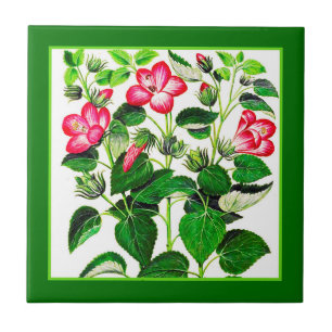 Fuchsia Rosa Italienska Hibiscus-blommor Kakelplatta