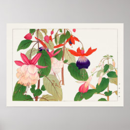 Fuchsia, Rosa Lila Red Flowers, Tanigami Konan Poster
