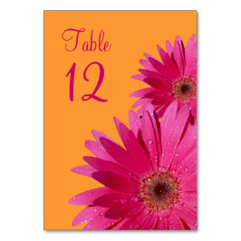 Fuchsia Rosa Orange Gerbera Daisy Bröllop Bordsnummer