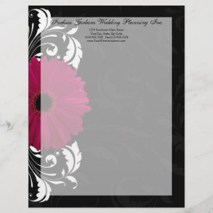 Fuchsia Rulla Gerbera Daisy w/Black and White Brevhuvud