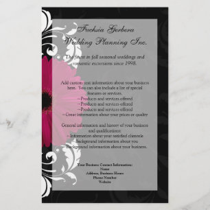 Fuchsia Rulla Gerbera Daisy w/Black and White Flygblad