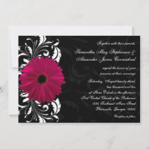 Fuchsia Rulla Gerbera Daisy w/Black and White