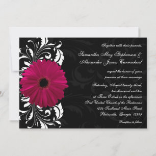 Fuchsia Rulla Gerbera Daisy w/Black and White Inbjudningar