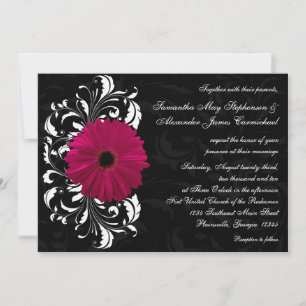 Fuchsia Rulla Gerbera Daisy w/Black and White Inbjudningar