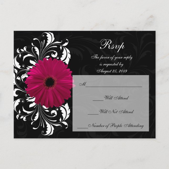 Fuchsia rullande Gerbera Daisy med svart och vitt Inbjudan Vykort (Framsida)