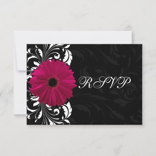 Fuchsia rullande Gerbera Daisy med svart och vitt OSA Kort (Framsida)