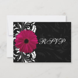 Fuchsia rullande Gerbera Daisy med svart och vitt OSA Kort