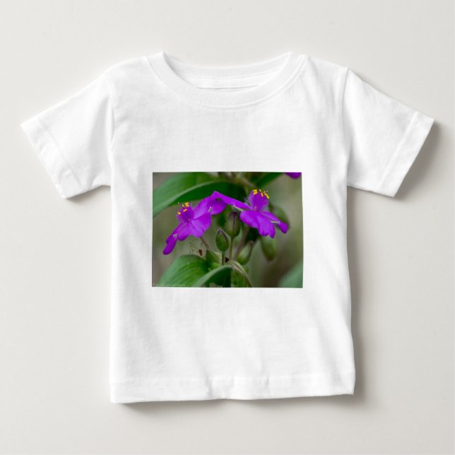 Fuchsia Spiderwort Tvillingar Vildblomma Presenter T-shirt (Framsida)