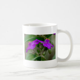 Fuchsia Spiderwort Twillingars Wildblomskorge Kaffemugg