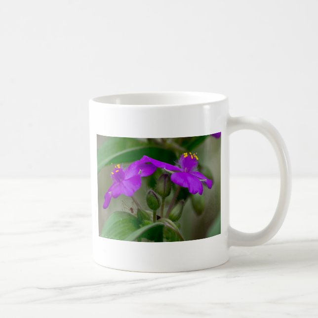 Fuchsia Spiderwort Twillingars Wildblomskorge Kaffemugg (Höger)