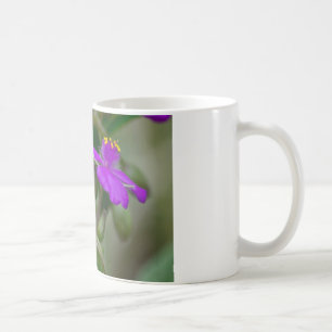 Fuchsia Spiderwort Twillingars Wildblomskorge Kaffemugg