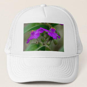 Fuchsia Spiderwort Twillingars Wildblomskorge Keps