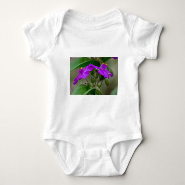 Fuchsia Spiderwort Twillingars Wildblomskorge Tee (Framsida)