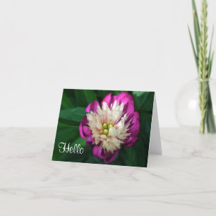 "FUCHSIA & WHITE PEONY" KORT