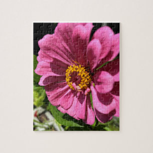 Fuchsia Zinnia Flower Close Up Pussel