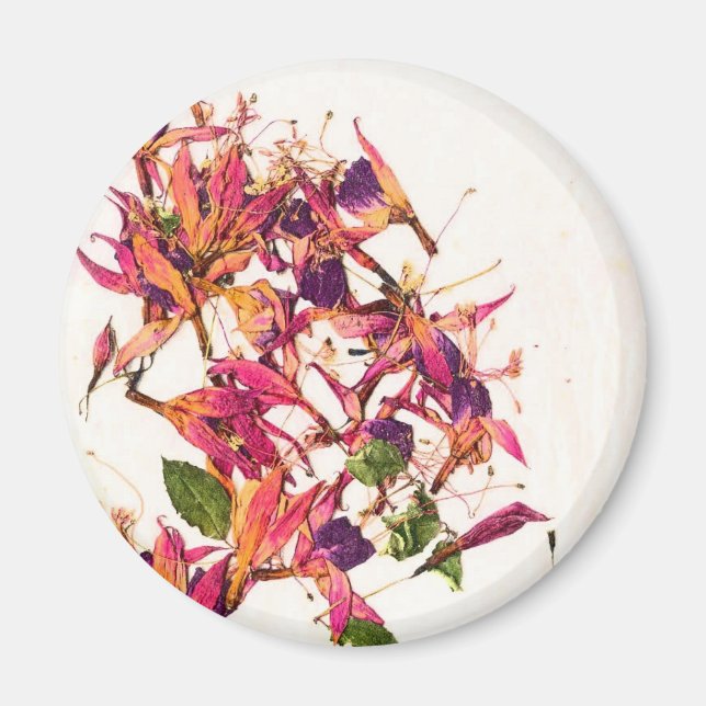 FUCHSIAS I MAGNET (Framsidan)