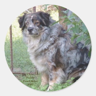 FuddyPearl Miles2007 Runt Klistermärke