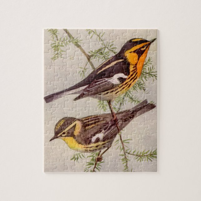 Fuertes Blackburnian Warbler Bird Painting Jigszaw Pussel (Vertikal)