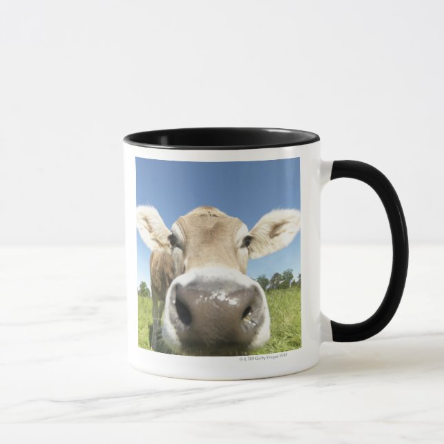 Fuessen Bayern, Tyskland Mugg (Höger)