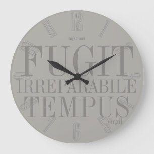 Fugit Irreparabile Tempus Stor Klocka