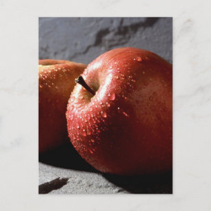 Fuji Apples Vykort