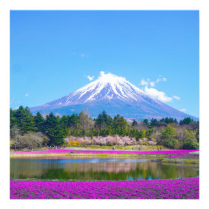 Fuji Träd och Flowers Fototryck