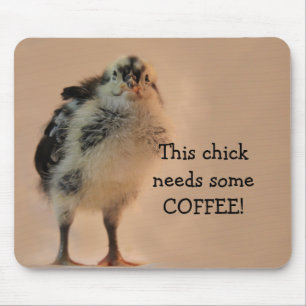 Ful chick musmatta