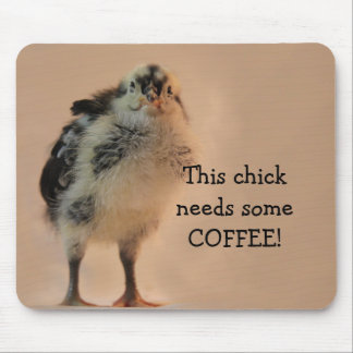 Ful chick musmatta