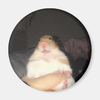 Ful kisemurmem magnet