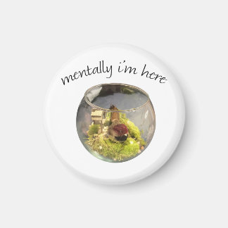 ful planetarium magnet