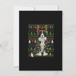 Fula Xmas-tröja stil lampor Border Collie hund C Inbjudningar