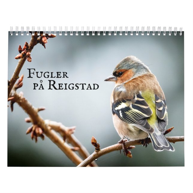 Fulger på Reigstad - Kalender 2021 (Omslag)