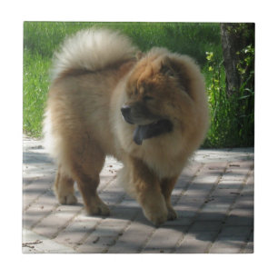full chowchow kakelplatta