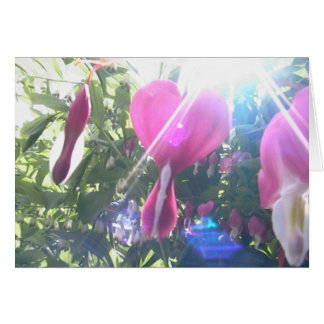 full hjärta hälsningskort