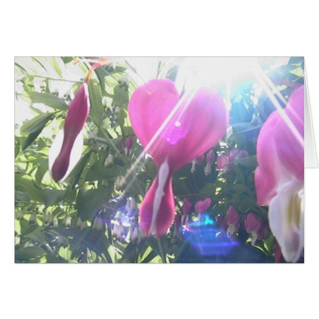 full hjärta hälsningskort (Framsidan Horizontal)