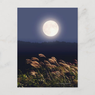 Full Moon 2 Vykort