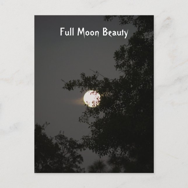 Full Moon Beauty Vykort (Framsida)