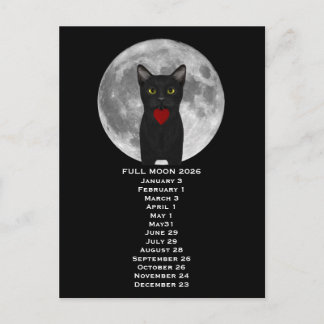 Full Moon  Cat 2026  Postcard Vykort