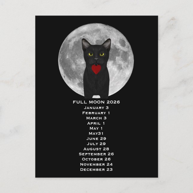 Full Moon  Cat 2026  Postcard Vykort (Framsida)