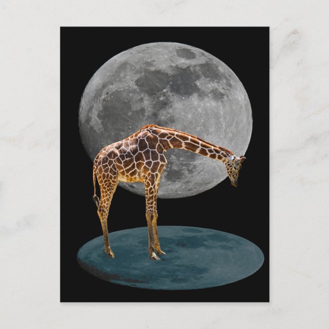 FULL MOON GIRAFFE VYKORT (Framsida)