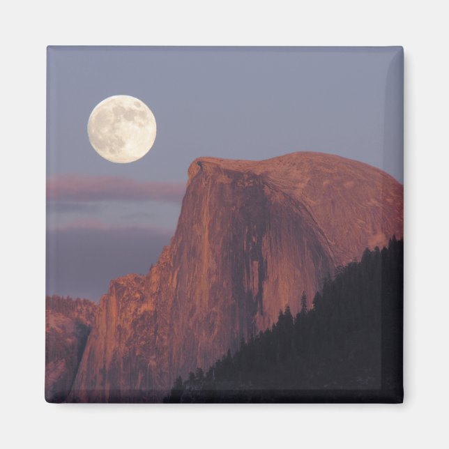 Full Moon halv Dome Magnet (Framsidan)