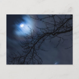 Full Moon i Night Himlar, Ohio Vykort