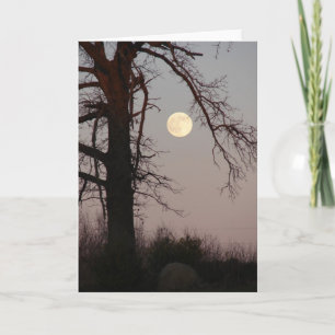 Full Moon Kort